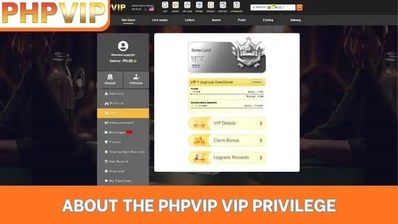 About the PHPVIP VIP Privilege