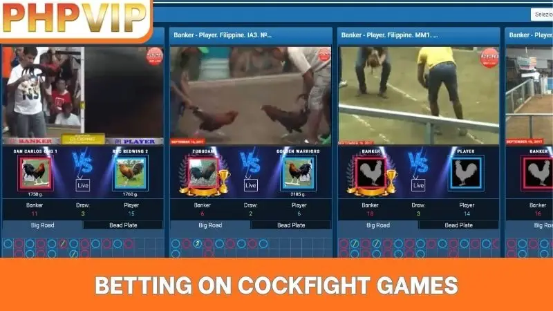 Betting on cockfight games
