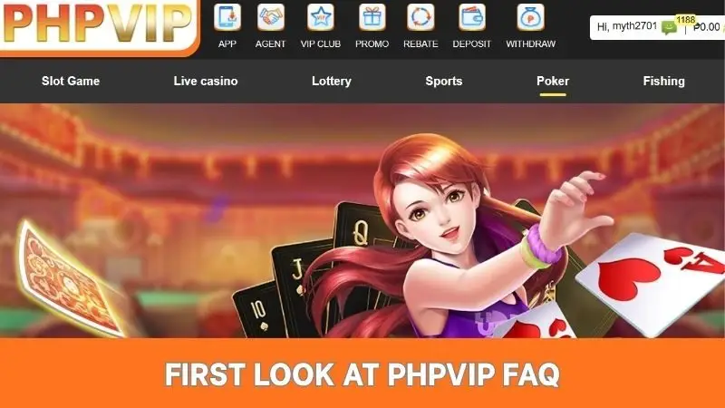 First look at PHPVIP FAQ