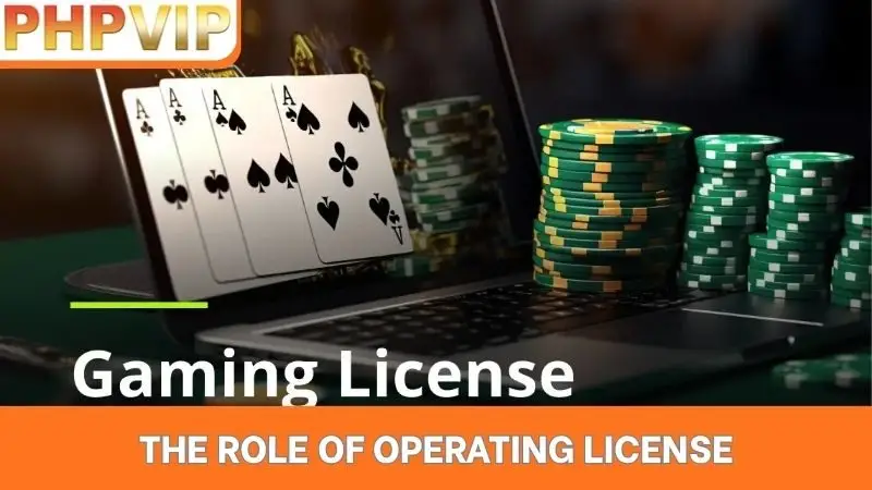 The role of operating license