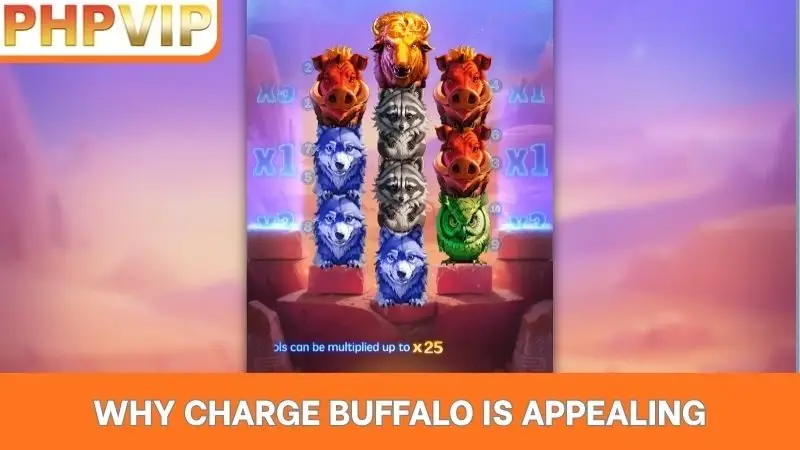 Why Charge Buffalo is appealing