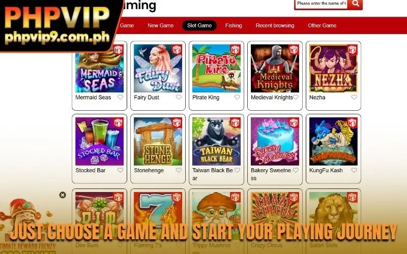 Just choose a game and start your playing journey